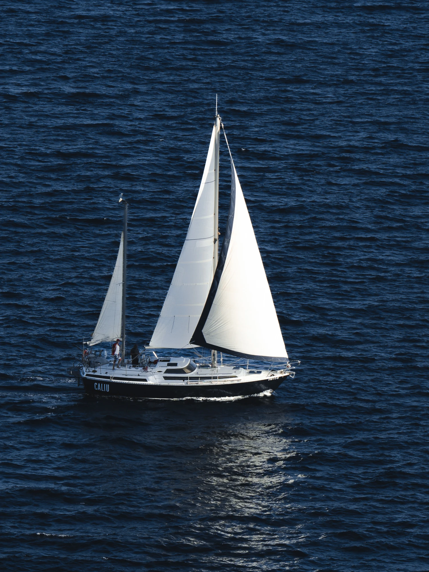 WeSea-Boats-CALIU-686666f97e35b.webp