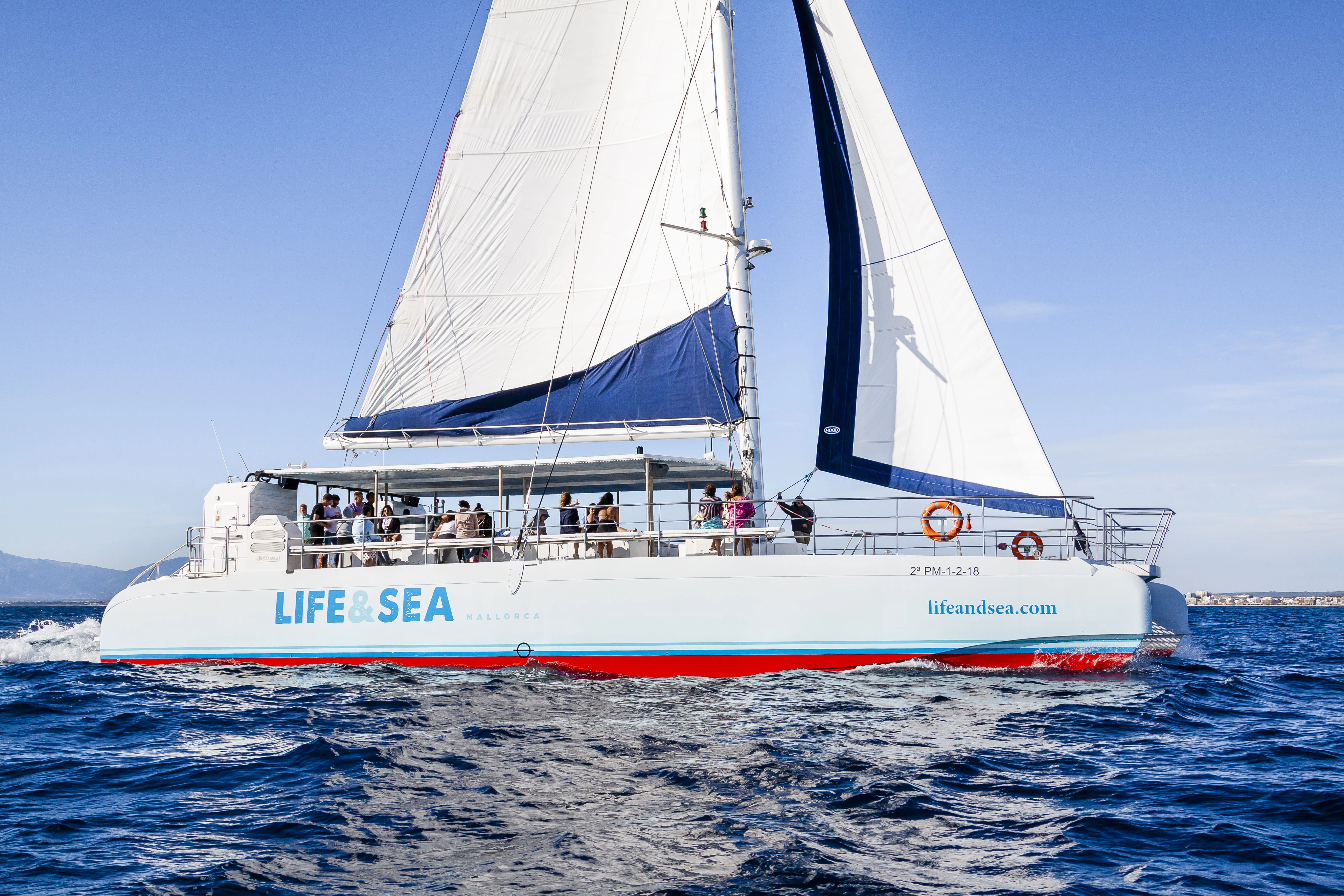 WeSea-Boats-Catamaran-67e42c6bef320.webp