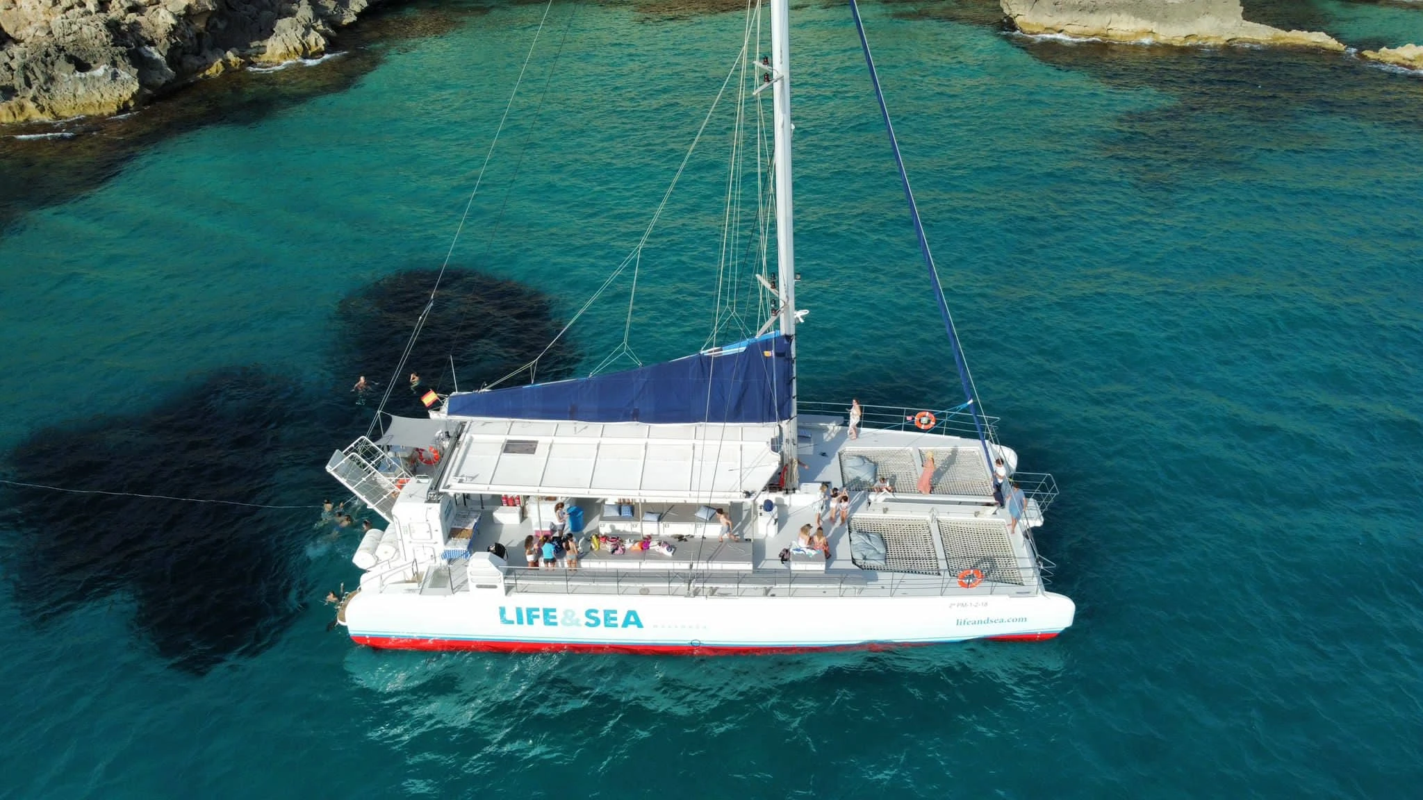 WeSea-Boats-Catamaran-67e42c7e6b12a.webp