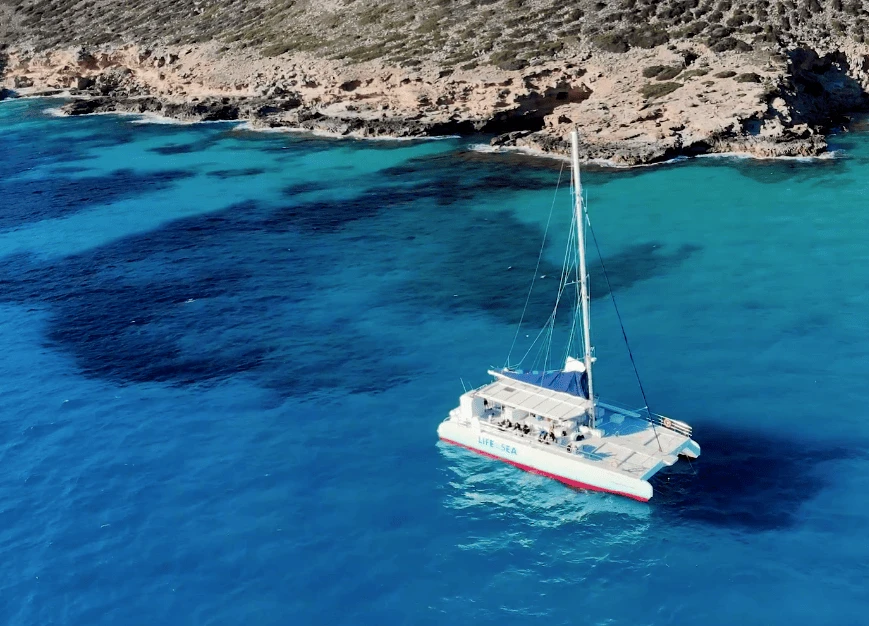 WeSea-Boats-Catamaran-67e42c8c6feb4.webp