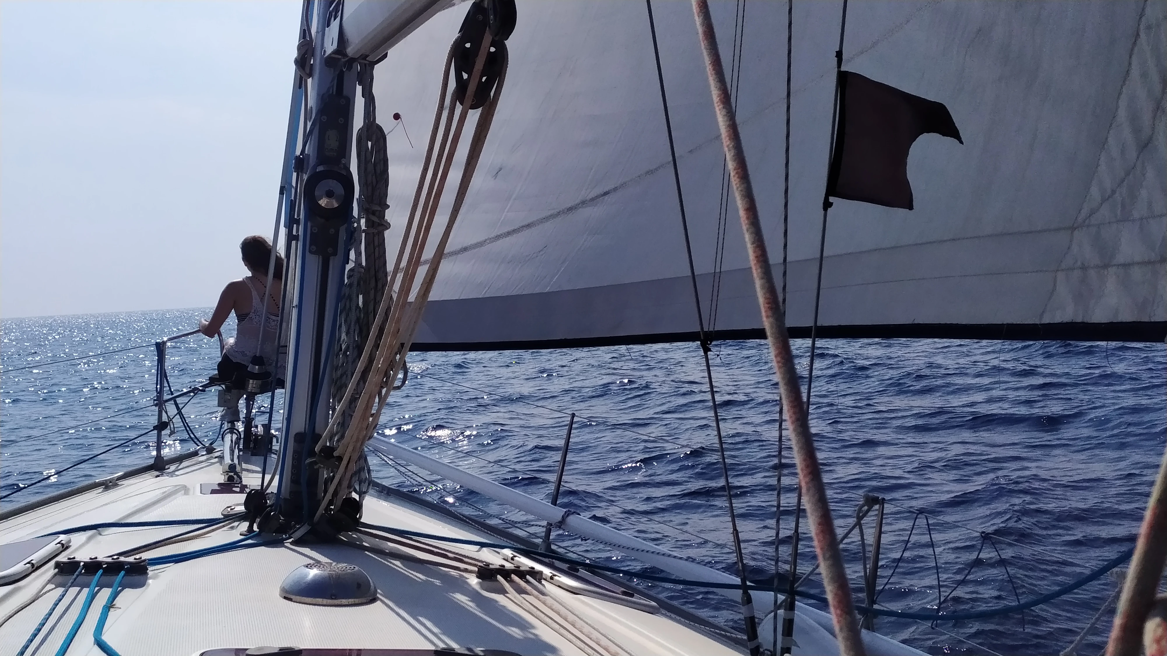 WeSea-Boats-Ohana-6811f3432ea28.webp