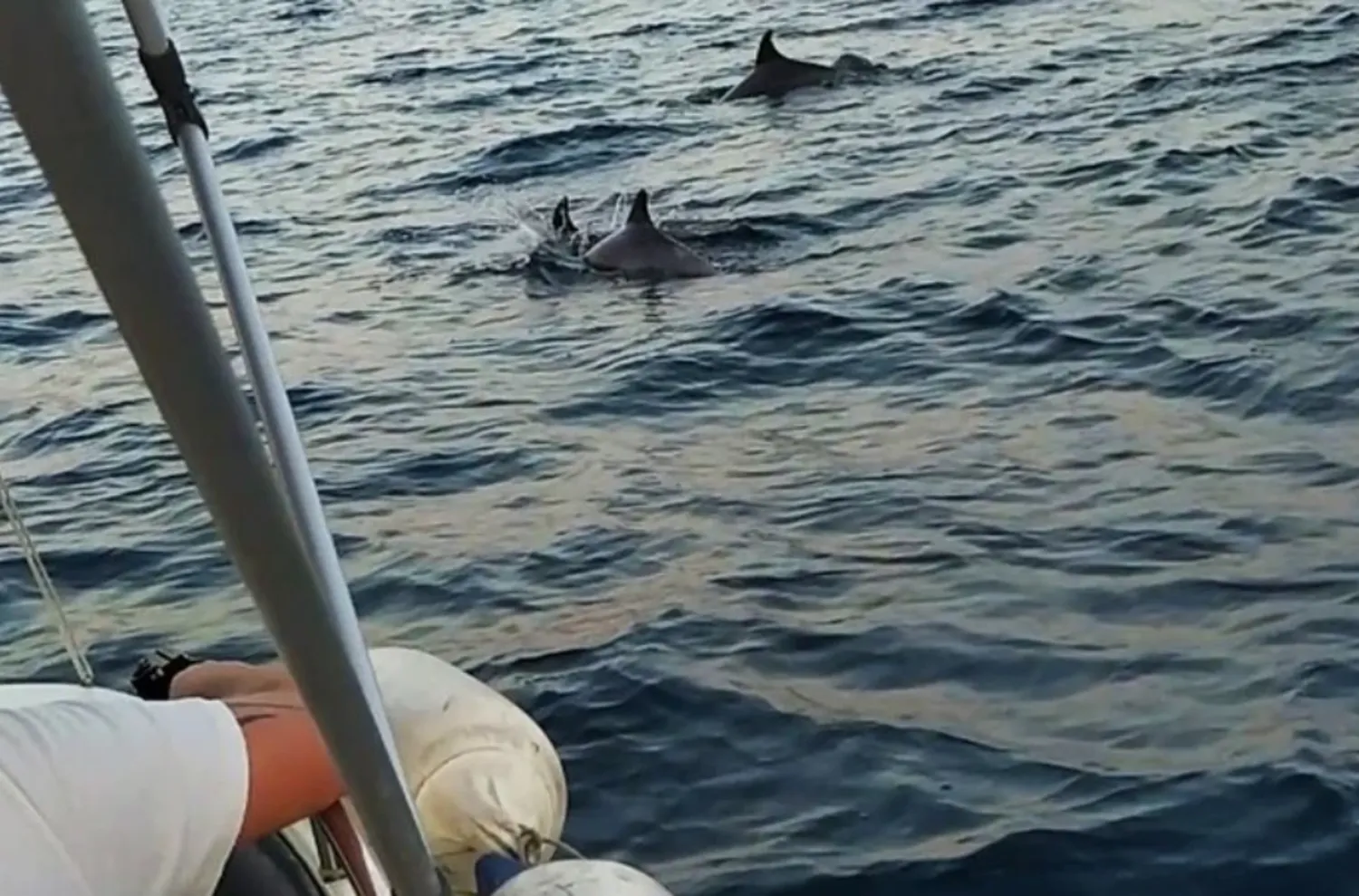 WeSea-Boats-Surfrider-684606224beec.webp