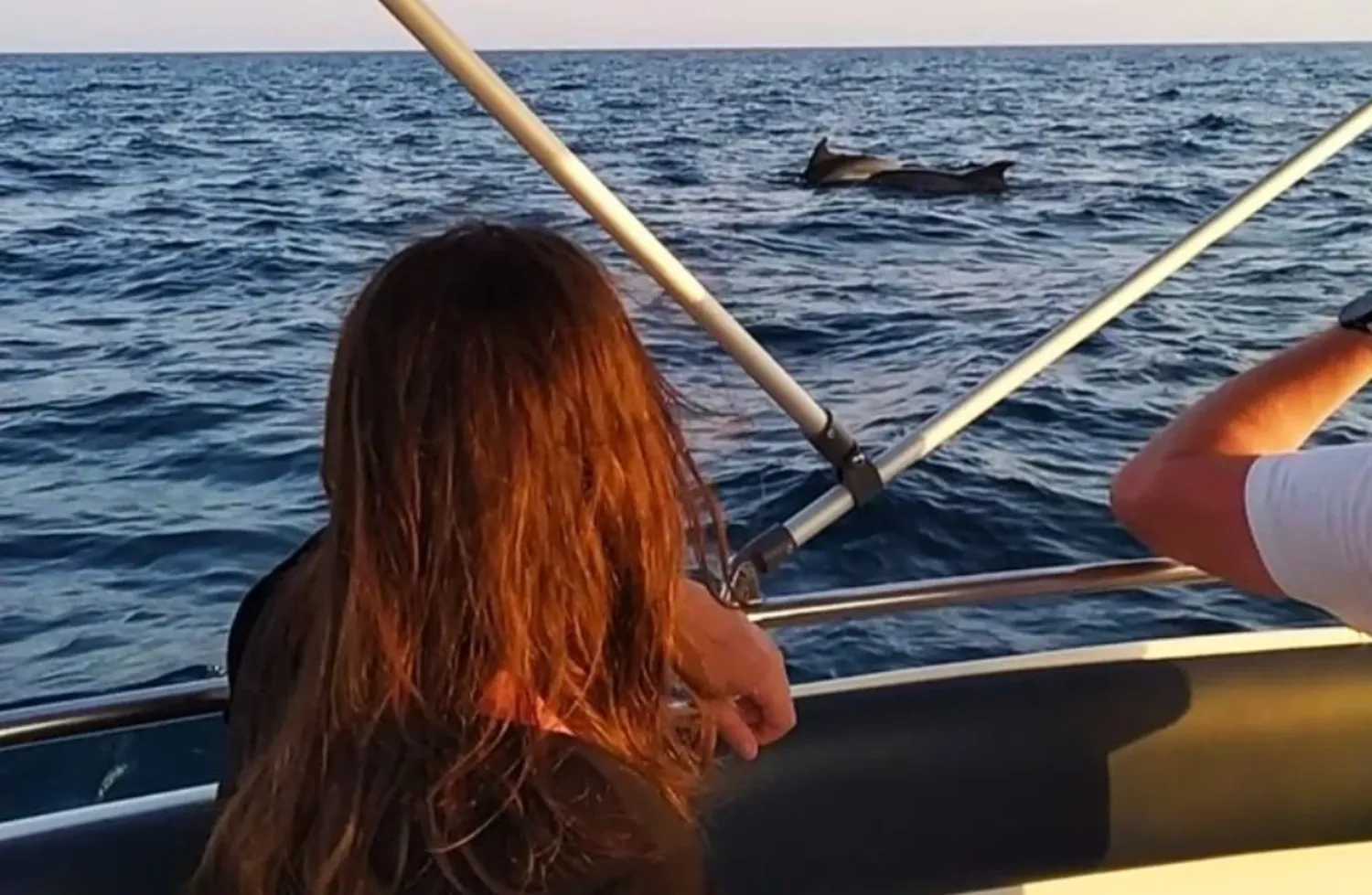 WeSea-Boats-Surfrider-6846062262986.webp