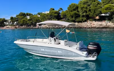 🏝️ Explore the Best Beaches of the Island