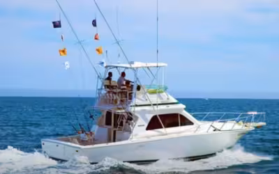 🎣  The Best Fishing Adventure in the Bay of Alcudia 🚤🌊