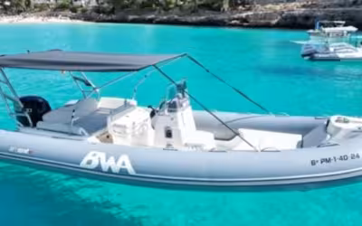 🤿 Swim and Dive in Cala Mondragó