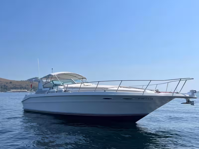 uploads/boats/WeSea-Boats-Searay-68a1f226d8dea.avif